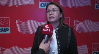 CHP'nin 'İkinci Yüzyıla Çağrı' Buluşması... Karaca: 'Bir Kişinin İki Dudağının Arasında Olan Sistemden Nasıl Demokrasiye Gideceğimizin Yol Haritasını...