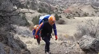 Kayalıklarda mahsur kalan keçiler AFAD ekiplerince kurtarıldı