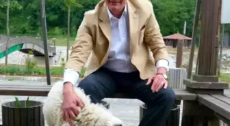 Bakan Soylu'nun kuzenini öldürmüştü, müebbet hapsi istendi