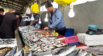 Balık bollaştı, fiyatlar ucuzladı