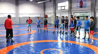 Kayseri Şekerspor Kulübü güreşte 7 yılda önemli başarılara imza attı
