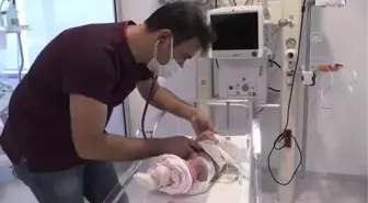 Prematüre bebek Sevim Sultan yaşam savaşını kazandı