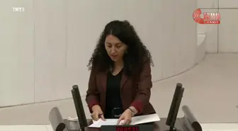 Hdp Sözcüsü Günay: Tek Adam ve Etrafındaki Çıkar Gruplarının Kazanması İçin Harcanmak İstenen Bütçe Teklifidir, Hayır Diyeceğiz