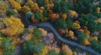 Kaz Dağları nerede, hangi şehirde? Kaz Dağları'na nasıl gidilir?