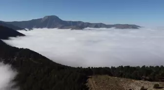 Başkarcı Dağı'nın zirvesi 'bulut deniziyle' kaplandı