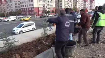 Bingöl Belediyesi'nden hummalı çalışma