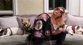 Lady Gaga... KÖPEKLERİNİ KAÇIRAN SALDIRGANA HAPİS CEZASI!..