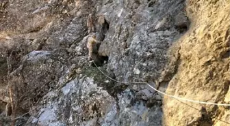 Tunceli'de PKK'lı teröristlerin 15 sığınağı imha edildi