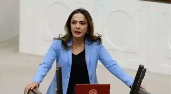 Gamze Akkuş İlgezdi: 'Türkiye'de, Kişi Başı Yıllık Kültür Harcaması 1000 Tl, Aylık 83 Tl, Günlük İse Sadece 2,7 Tl'