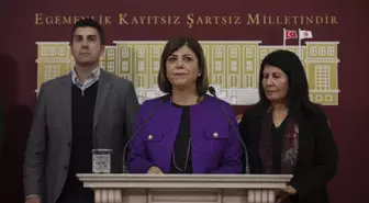 HDP'li Beştaş'tan eski DEP'li Sincar cinayeti davasına ilişkin açıklama