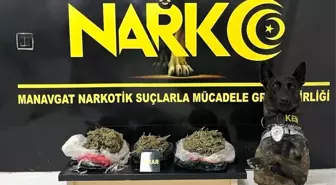 Narkotik köpek Pars'tan uyuşturucuya geçit yok