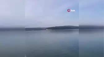 Terkos Gölü'nde kaçak avcılık yapanlar suç üstü yakalandı