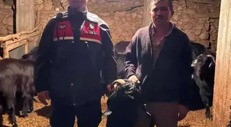 Jandarma kayıp keçileri dron ile buldu