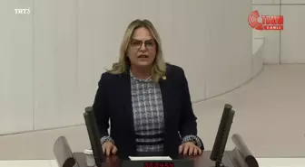 Neslihan Hancıoğlu: 'Aile Bakanı Bu Vahim Olaya 3 Gün Sonra Refleks Gösterebiliyor, Sayın Bakan Ne Kadınları Koruyabildiniz Ne de Yavrularımızı'