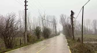 Çan'da fırtına nedeniyle ağaç dalı yüksek gerilim hattı üstüne devrildi