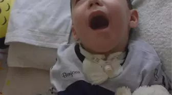 Ege'ye oksijen yerine azot verilmesinde 3 kişiye 'asli', 9 kişiye 'tali' kusur raporu