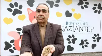 Gastronomi lezzetleri sokak hayvanlarına mama olarak sunuyor