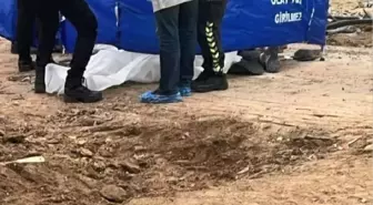 PARKTA ÖĞRETMENİN ÖLÜMÜNE NEDEN OLAN KAMYON ŞOFÖRÜ TUTUKLANDI