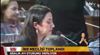 İbb Meclisi'nde 'Çocuk İstismarı' Tartışması