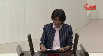 Sibel Özdemir: 'Epistemolojik Kopuşlar Sürecine, Yeni Model Arayışlarına Savruluyor Ülkemiz'