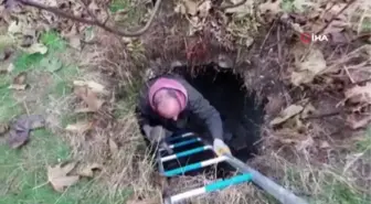 Tarihi hamamda mahsur kalan 5 yavru köpek, belediye ekiplerince kurtarıldı