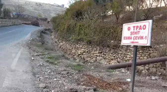Gabar Dağı'nda 150 milyon varillik petrol rezervi keşfi heyecan yarattı