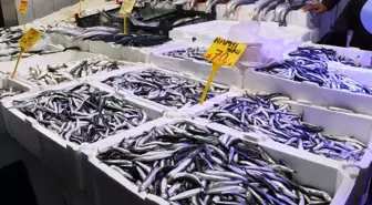 Samsun'da iriliği artan hamsi 70 liradan alıcı buluyor