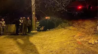 Sel sularına kapılmamış, dereye düşmüş