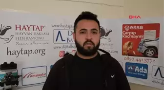 BAĞIRSAKLARI DIŞARIDA DOĞAN KUZUYA CERRAHİ MÜDAHALE