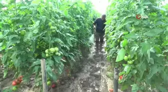 Kumluca'da çamur içinde üretim
