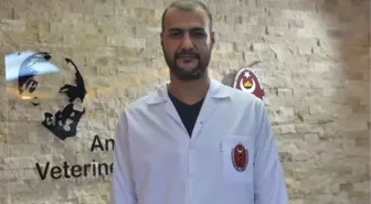 Mikroçip bitti, veterinerler süre uzatımı istedi