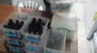 Tekirdağ ve Kırklareli'nde 15 bin 409 litre etil alkol ele geçirildi