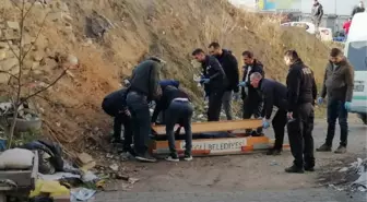 Yol kenarında ölü bulundu