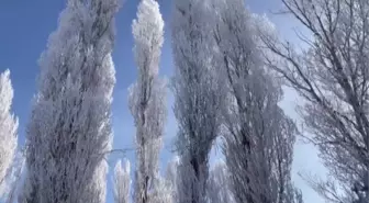 Soğuk hava etkili oluyor