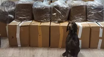 Bolu'da kamyonda kaçak tütün ve elektronik sigara kitleri ele geçirildi