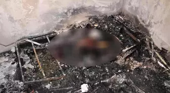 Cinayetten 6 yıl sonra Almanya'da yakalandı, mahkemeye getirilmeyince karar ertelendi