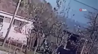 Elma ağacı budarken düştü, o anlar kameraya böyle yansıdı