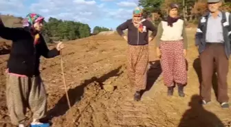 Örencik'te Altın Madeni Açılacak Tarım Arazisine İş Makineleri Girdi.