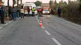 Muğla'da aracın çarptığı yaya öldü