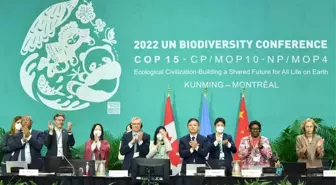 Cop15 Başkanı: Çin, BM Biyolojik Çeşitlilik Anlaşmasının Uygulanmasını Kolaylaştıracak