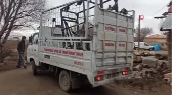 Hayvanlara 'Nalbulans' ile manikür-pedikür bakımı