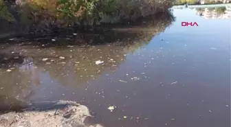 GÖKSU NEHRİ'Nİ KİRLETEN 2 FABRİKAYA 3 MİLYON 73 BİN LİRA CEZA