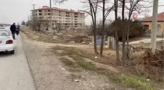 Konya'da zehirli ot yiyen 50'den fazla koyun telef oldu