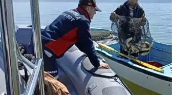 Bursa'da jandarmadan kaçak av operasyonu