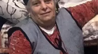 Fındıklığı temizlerken dereye düştü, hayatını kaybetti