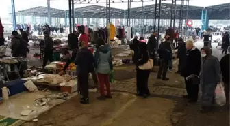 Bu pazarda yok yok... Manisa'da kurulan Bit Pazarı'nda her şeyi bulmak mümkün