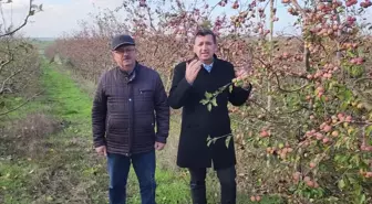 Okan Gaytancıoğlu, Meyve Bahçelerinin Yabancılara Vatandaşlık İçin Satıldığını İleri Sürdü: 'Hile Var, Üç Kağıt Var, Vatandaşlık Bu Şekilde Veriliyor'