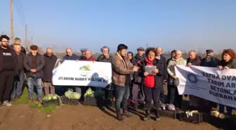 Samsun Bafra'da Tarım Arazileri Üzerine Kurulması Planlanan Hal Projesine Tepki: 'Bu Arazilerin Tarım Dışına Çıkarılarak İmara Açılması Cinayettir'