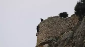 GEZMEK İÇİN ÇIKTIĞI KALEDE MAHSUR KALDI, İP MERDİVENLE KURTARILDI