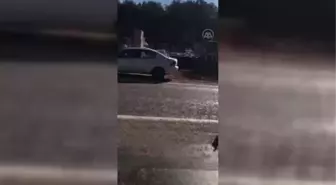 Marmaris'te iş yerinin duvarına çarpan minibüsteki 6 kişi yaralandı